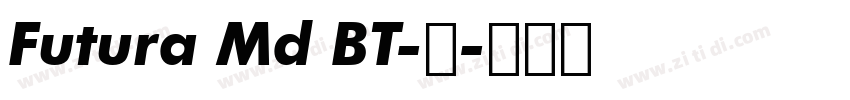 Futura Md BT-中字体转换